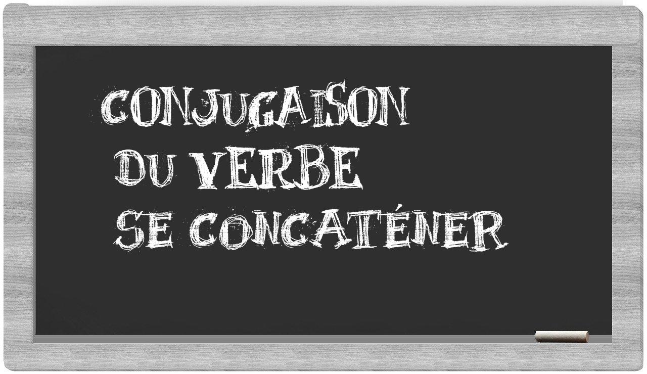 ¿se concaténer en sílabas?